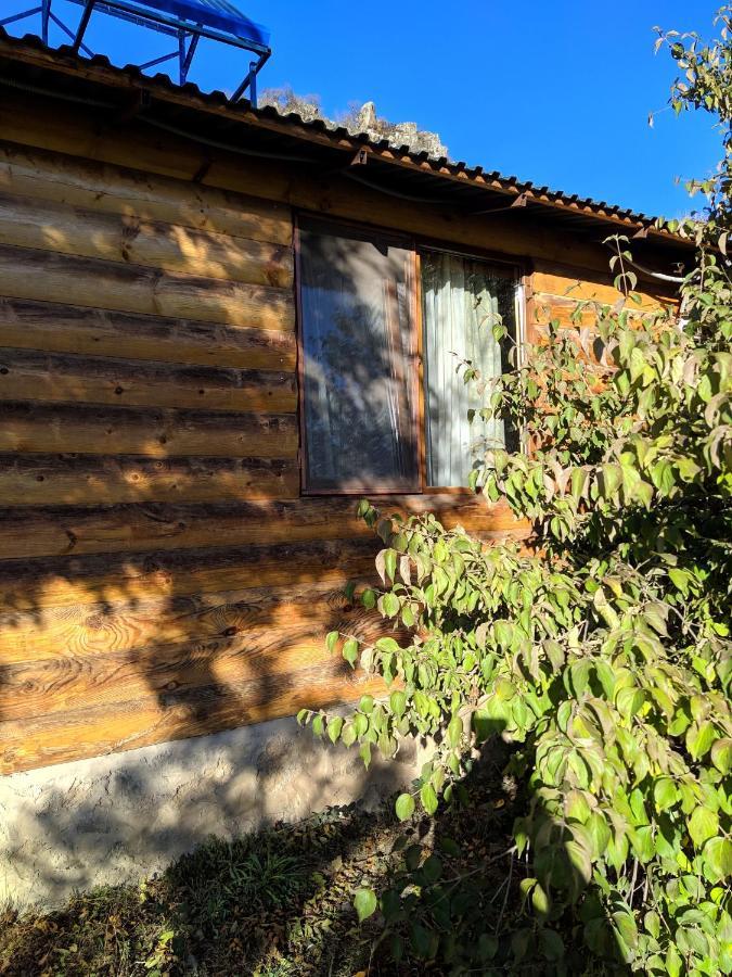 Old Halidzor Villa Buitenkant foto